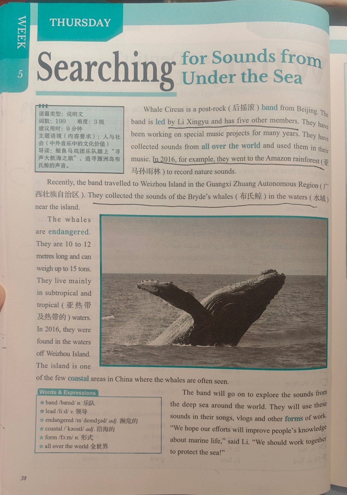 Searching for Sounds from Under the Sea 课文页