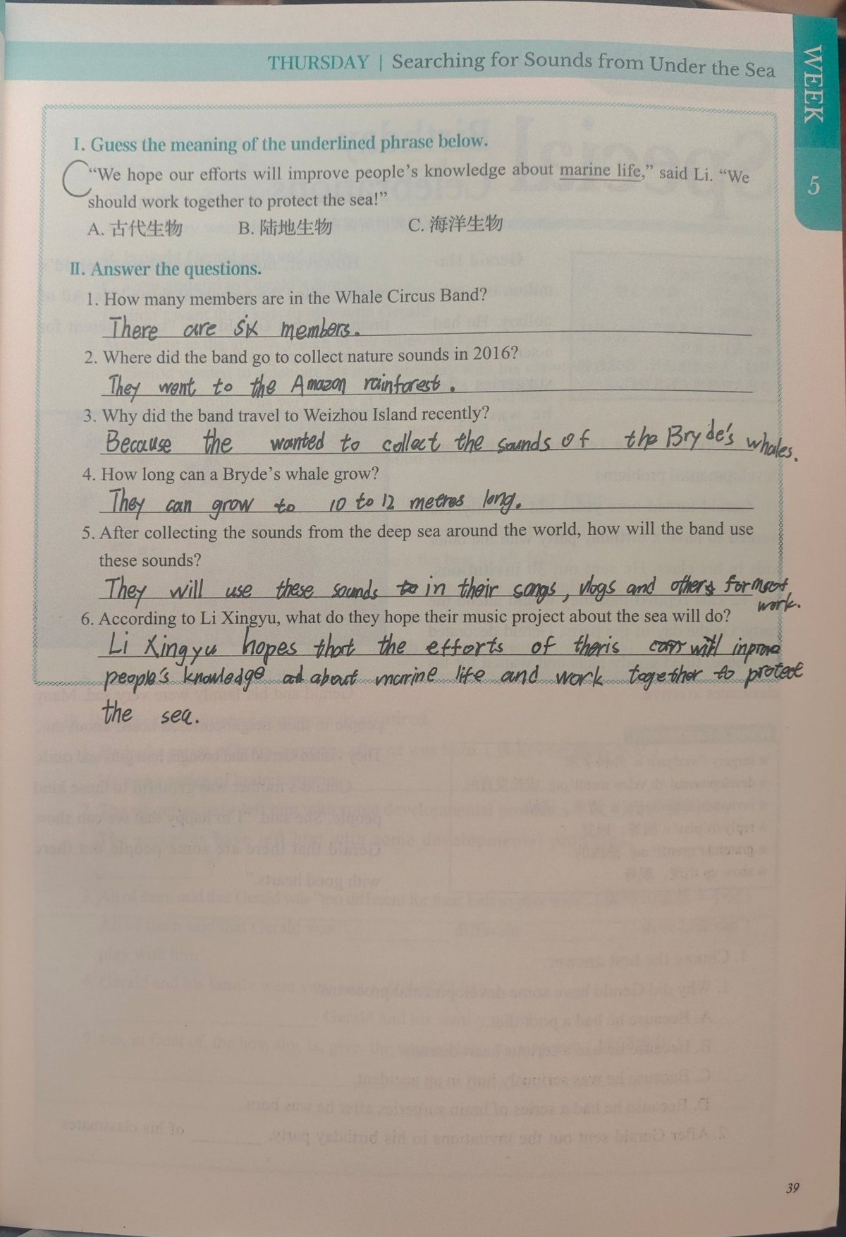 阅读问答题作答页